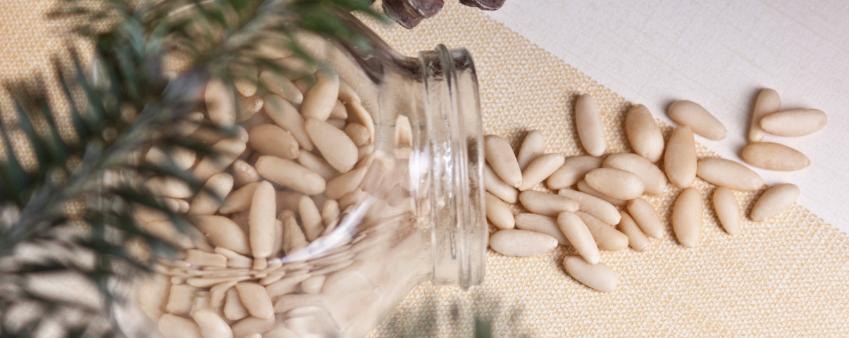 Exploring the Nutty Goodness of Pine Seeds