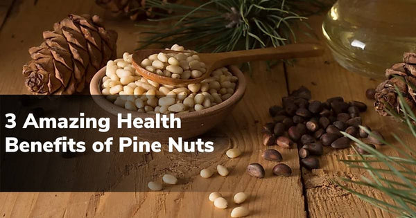 Pine Nuts Dubai | Mira Farms Dubai