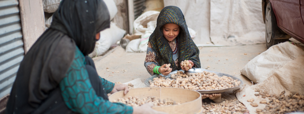 Empowering Afghan Women for a Brighter Future, Mira Farms