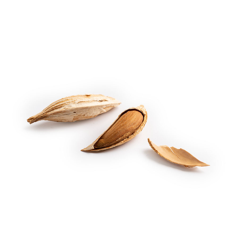 Buy Shelled Almond Online | Mira Farms